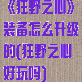 《狂野之心》装备怎么升级的(狂野之心好玩吗)