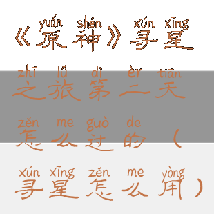 《原神》寻星之旅第二天怎么过的(寻星怎么用)