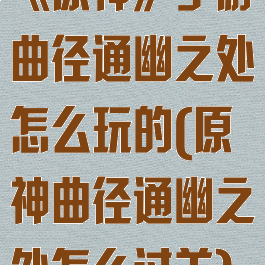 《原神》手游曲径通幽之处怎么玩的(原神曲径通幽之处怎么过关)