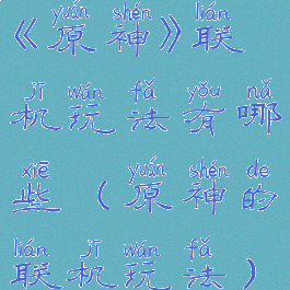 《原神》联机玩法有哪些(原神的联机玩法)