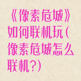 《像素危城》如何联机玩(像素危城怎么联机?)
