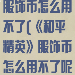 《和平精英》服饰币怎么用不了(《和平精英》服饰币怎么用不了呢)