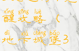 《地下城堡3魂之诗》觉醒攻略(地下城堡3魂之诗百度贴吧)