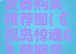 《孤岛惊魂6》前期武器购买推荐图(《孤岛惊魂6》前期武器购买推荐图)