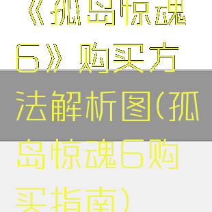 《孤岛惊魂6》购买方法解析图(孤岛惊魂6购买指南)