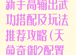 《天命奇御2》新手高输出武功搭配及玩法推荐攻略(天命奇御2配置要求)