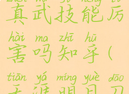 《天涯明月刀手游》真武技能厉害吗知乎(天涯明月刀手游真武技能展示)
