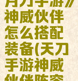 《天涯明月刀手游》神威伙伴怎么搭配装备(天刀手游神威伙伴阵容怎么搭配)