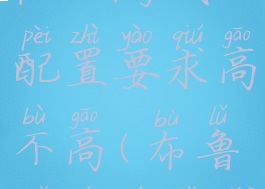 《布鲁姆回忆》游戏配置要求高不高(布鲁姆人物简介)