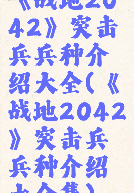 《战地2042》突击兵兵种介绍大全(《战地2042》突击兵兵种介绍大全集)