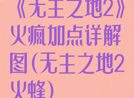 《无主之地2》火疯加点详解图(无主之地2火蜂)
