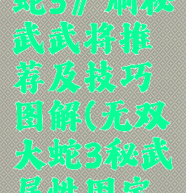 《无双大蛇3》刷秘武武将推荐及技巧图解(无双大蛇3秘武属性固定吗)