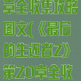 《最后的生还者2》第20章全收集攻略图文(《最后的生还者2》第20章全收集攻略图文下载)