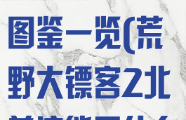 《荒野大镖客2》北美浣熊图鉴一览(荒野大镖客2北美浣熊用什么打)