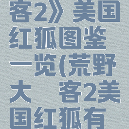 《荒野大镖客2》美国红狐图鉴一览(荒野大镖客2美国红狐有什么用)