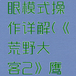 《荒野大镖客2》鹰眼模式操作详解(《荒野大镖客2》鹰眼模式操作详解)