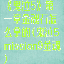 《鬼泣5》第一章金魂石怎么拿的(鬼泣5mission9金魂)