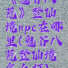 《鬼谷八荒》登仙境npc在哪里(鬼谷八荒登仙境怎么打)