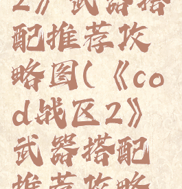 《cod战区2》武器搭配推荐攻略图(《cod战区2》武器搭配推荐攻略图片)
