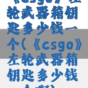 《csgo》左轮武器箱钥匙多少钱一个(《csgo》左轮武器箱钥匙多少钱一个啊)