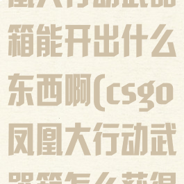 《csgo》凤凰大行动武器箱能开出什么东西啊(csgo凤凰大行动武器箱怎么获得)