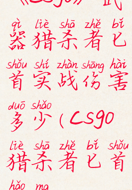 《csgo》武器猎杀者匕首实战伤害多少(csgo猎杀者匕首好吗)