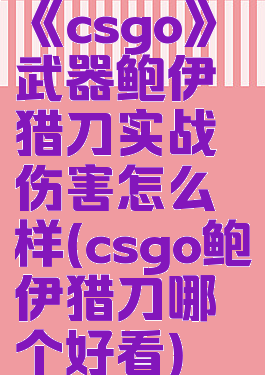 《csgo》武器鲍伊猎刀实战伤害怎么样(csgo鲍伊猎刀哪个好看)