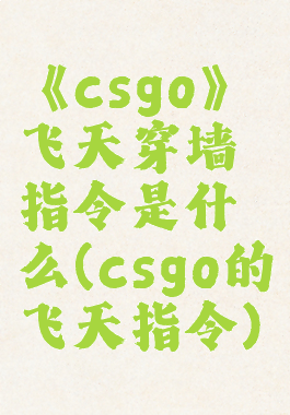 《csgo》飞天穿墙指令是什么(csgo的飞天指令)