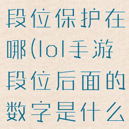 《lol手游》段位保护在哪(lol手游段位后面的数字是什么)