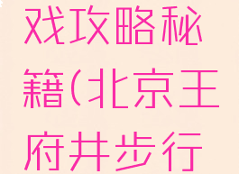 王府井大街购物游戏攻略秘籍(北京王府井步行街购物攻略)