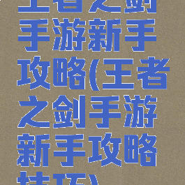 王者之剑手游新手攻略(王者之剑手游新手攻略技巧)