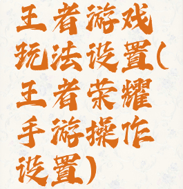 王者游戏玩法设置(王者荣耀手游操作设置)