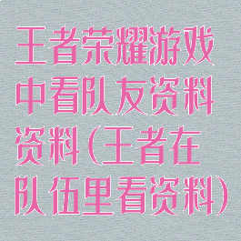 王者荣耀游戏中看队友资料资料(王者在队伍里看资料)