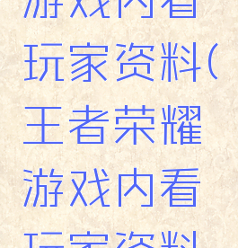 王者荣耀游戏内看玩家资料(王者荣耀游戏内看玩家资料在哪)