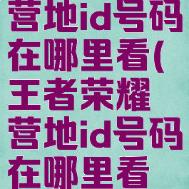 王者荣耀营地id号码在哪里看(王者荣耀营地id号码在哪里看到)