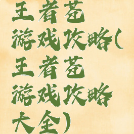 王者苍穹游戏攻略(王者苍穹游戏攻略大全)