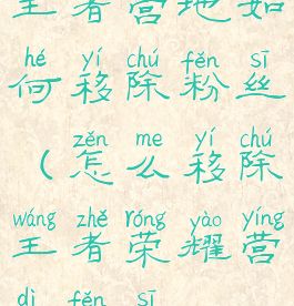王者营地如何移除粉丝(怎么移除王者荣耀营地粉丝)