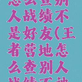 王者营地怎么查别人战绩不是好友(王者营地怎么查别人战绩不被发现)