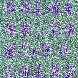 王者营地id号码在哪里看到(王者营地id号码在哪里看到的)