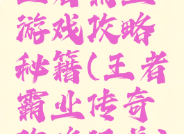 王者霸业游戏攻略秘籍(王者霸业传奇攻略汇总)