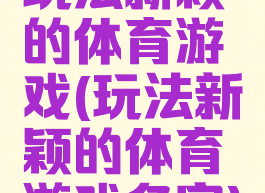 玩法新颖的体育游戏(玩法新颖的体育游戏名字)