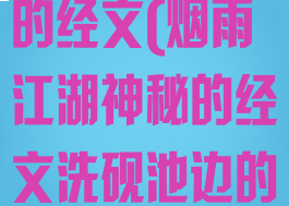 烟雨江湖神秘的经文(烟雨江湖神秘的经文洗砚池边的枯树)