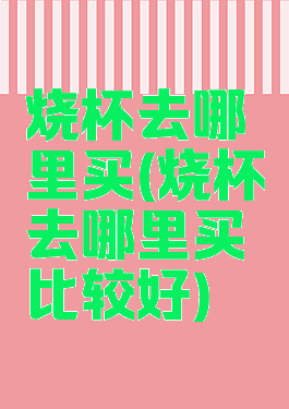 烧杯去哪里买(烧杯去哪里买比较好)