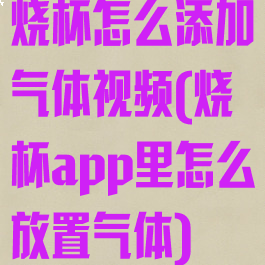 烧杯怎么添加气体视频(烧杯app里怎么放置气体)