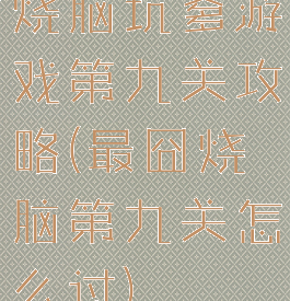 烧脑坑爹游戏第九关攻略(最囧烧脑第九关怎么过)