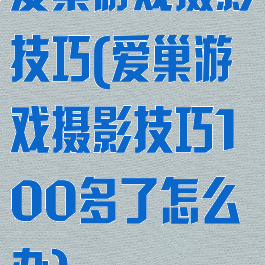 爱巢游戏摄影技巧(爱巢游戏摄影技巧100多了怎么办)