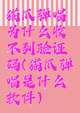 猫爪弹唱为什么收不到验证码(猫爪弹唱是什么软件)
