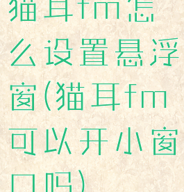 猫耳fm怎么设置悬浮窗(猫耳fm可以开小窗口吗)