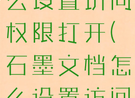 石墨文档怎么设置访问权限打开(石墨文档怎么设置访问权限打开)