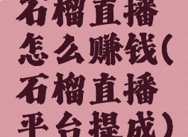 石榴直播怎么赚钱(石榴直播平台提成)